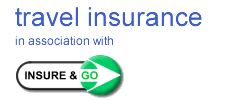 https://www.insureandgo.com